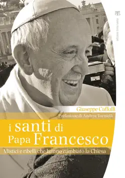 i santi di papa francesco book cover image