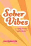 Sober Vibes synopsis, comments