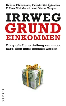 irrweg grundeinkommen book cover image