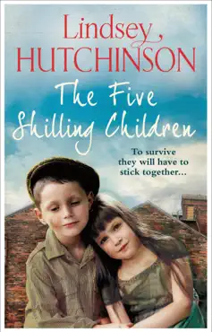the five shilling children book cover image