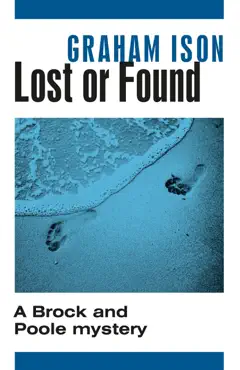 lost or found book cover image
