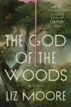 The God of the Woods synopsis, comments