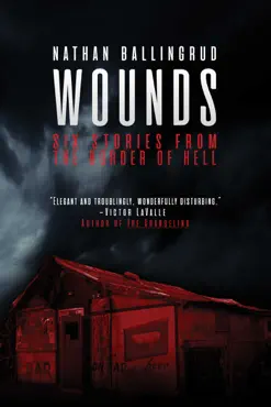 wounds book cover image