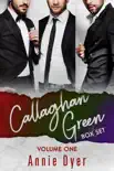 Callaghan Green Series Books 1 - 3 synopsis, comments