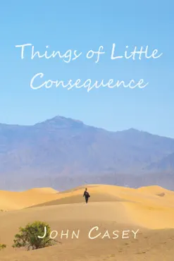 things of little consequence book cover image