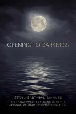 opening to darkness book cover image