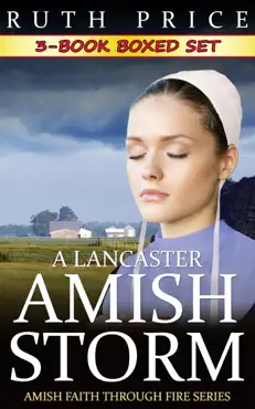 a lancaster amish storm 3-book boxed set book cover image