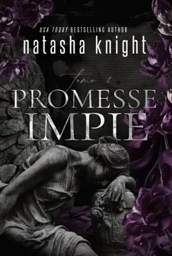 promesse impie book cover image