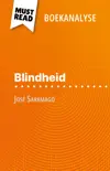 Blindheid van José Saramago (Boekanalyse) sinopsis y comentarios