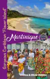 Martinique sinopsis y comentarios