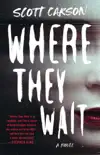 Where They Wait synopsis, comments