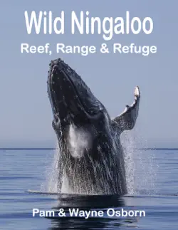 wild ningaloo book cover image