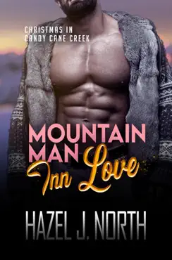 mountain man inn love book cover image