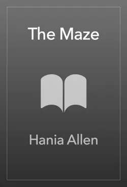 the maze book cover image