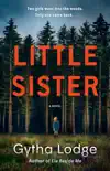Little Sister synopsis, comments