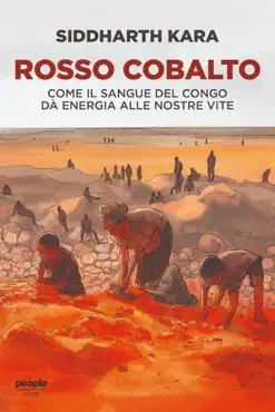 rosso cobalto book cover image