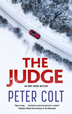 the judge book cover image