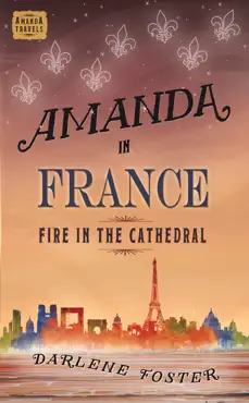 amanda in france book cover image