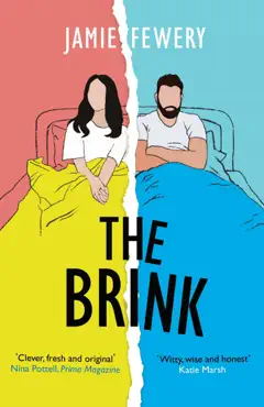 brink book cover image