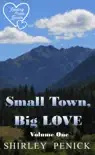 Small Town, Big Love synopsis, comments