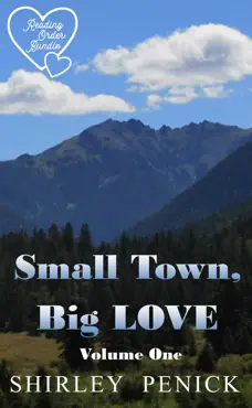 small town, big love book cover image
