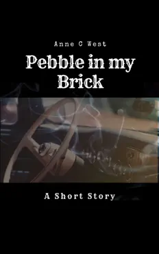 pebble in my brick imagen de la portada del libro