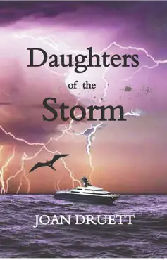 daughters of the storm book cover image