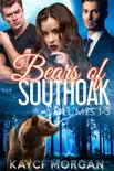 Bears of Southoak: Volumes 1 - 3 sinopsis y comentarios