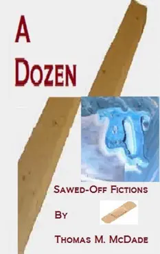 a dozen sawed-off fictions book cover image