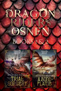 dragon riders of osnen book cover image