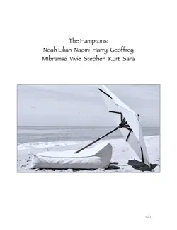the hamptons book cover image