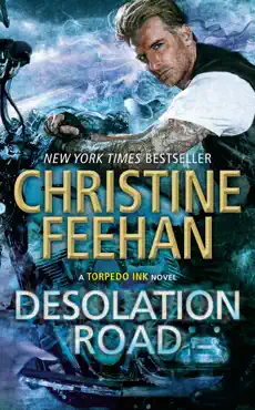 desolation road book cover image