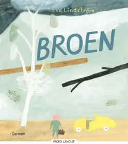 broen book cover image