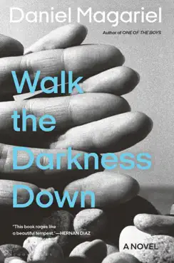 walk the darkness down book cover image