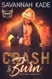 Crash and Burn e-book