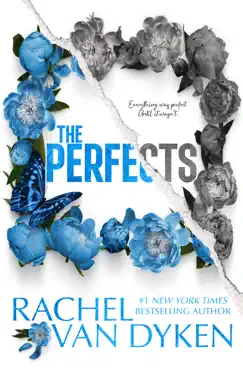 the perfects book cover image