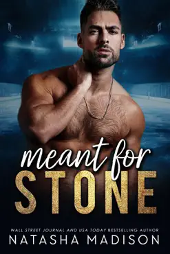 meant for stone book cover image