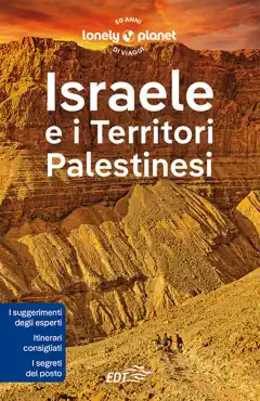 israele e i territori palestinesi book cover image