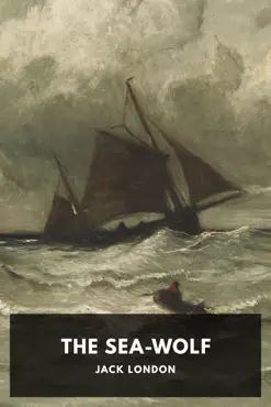 the sea-wolf book cover image