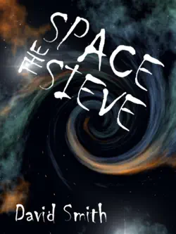 the space sieve book cover image