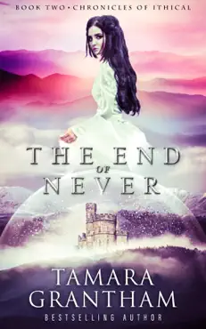 the end of never book cover image