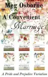 A Convenient Marriage synopsis, comments