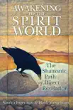 Awakening to the Spirit World synopsis, comments