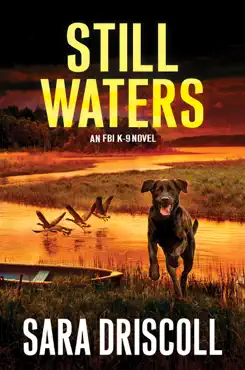 still waters book cover image