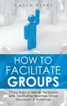 How to Facilitate Groups synopsis, comments