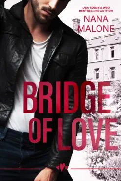 bridge of love book cover image
