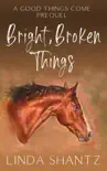 Bright, Broken Things synopsis, comments