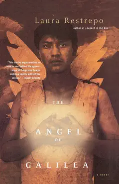 the angel of galilea book cover image