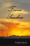 Forever Sunshine sinopsis y comentarios