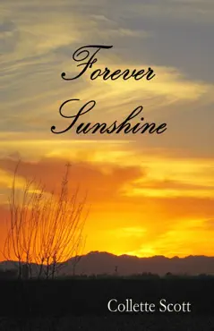 forever sunshine book cover image
